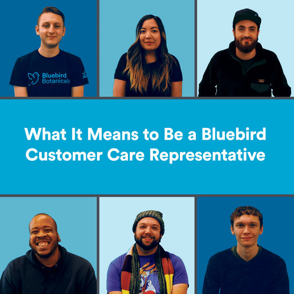 What It Means to Be a Bluebird Customer Care Representative
